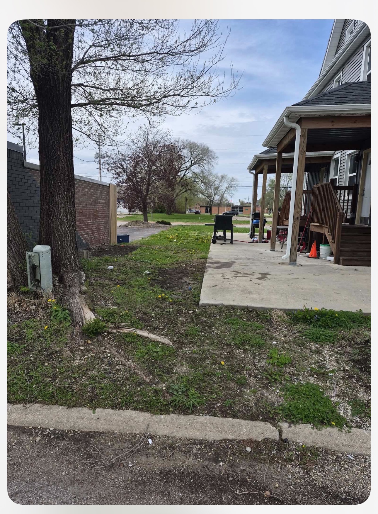 Patio & yard cleanup
